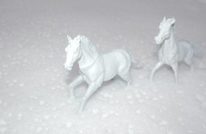 horses running