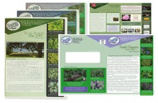 nursery newsletters