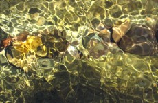 washougal river rocks